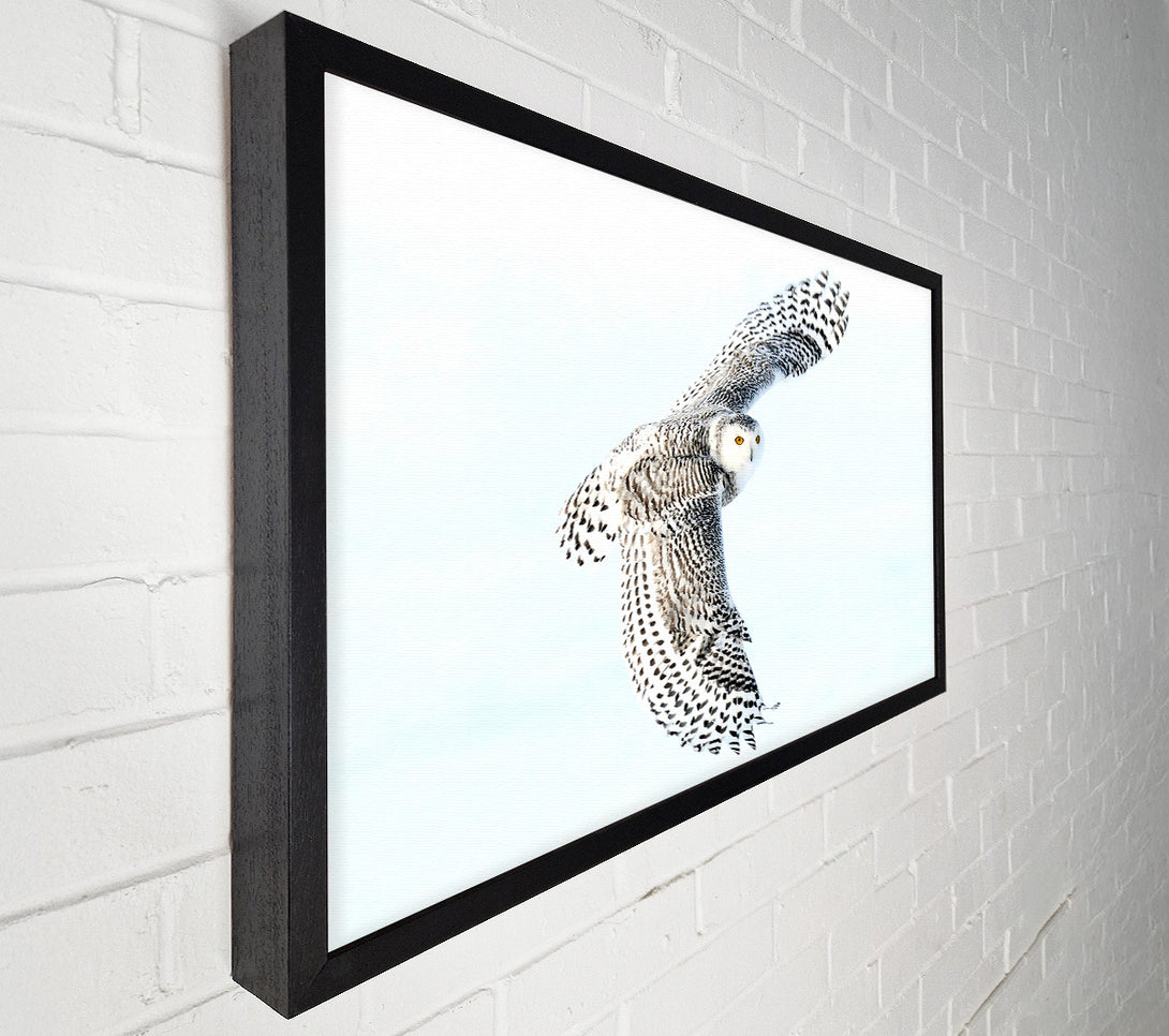  A Canvas Print of Snowy Owl Canvas Art