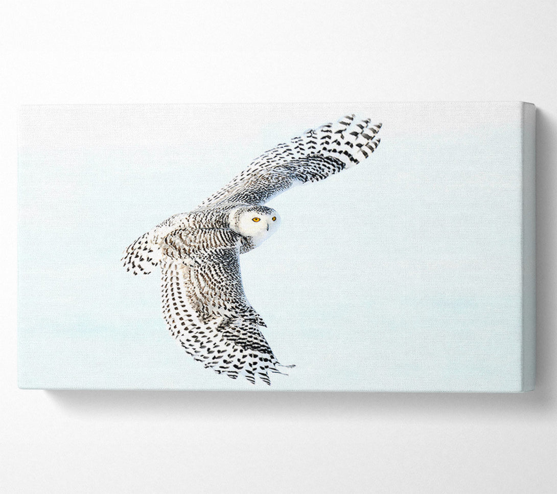  A Canvas Print of Snowy Owl Canvas Art