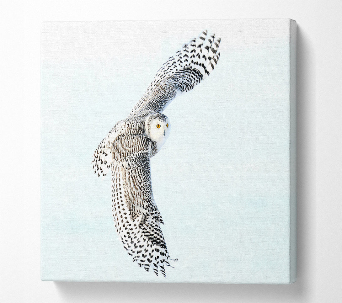  A Canvas Print of Snowy Owl Canvas Art