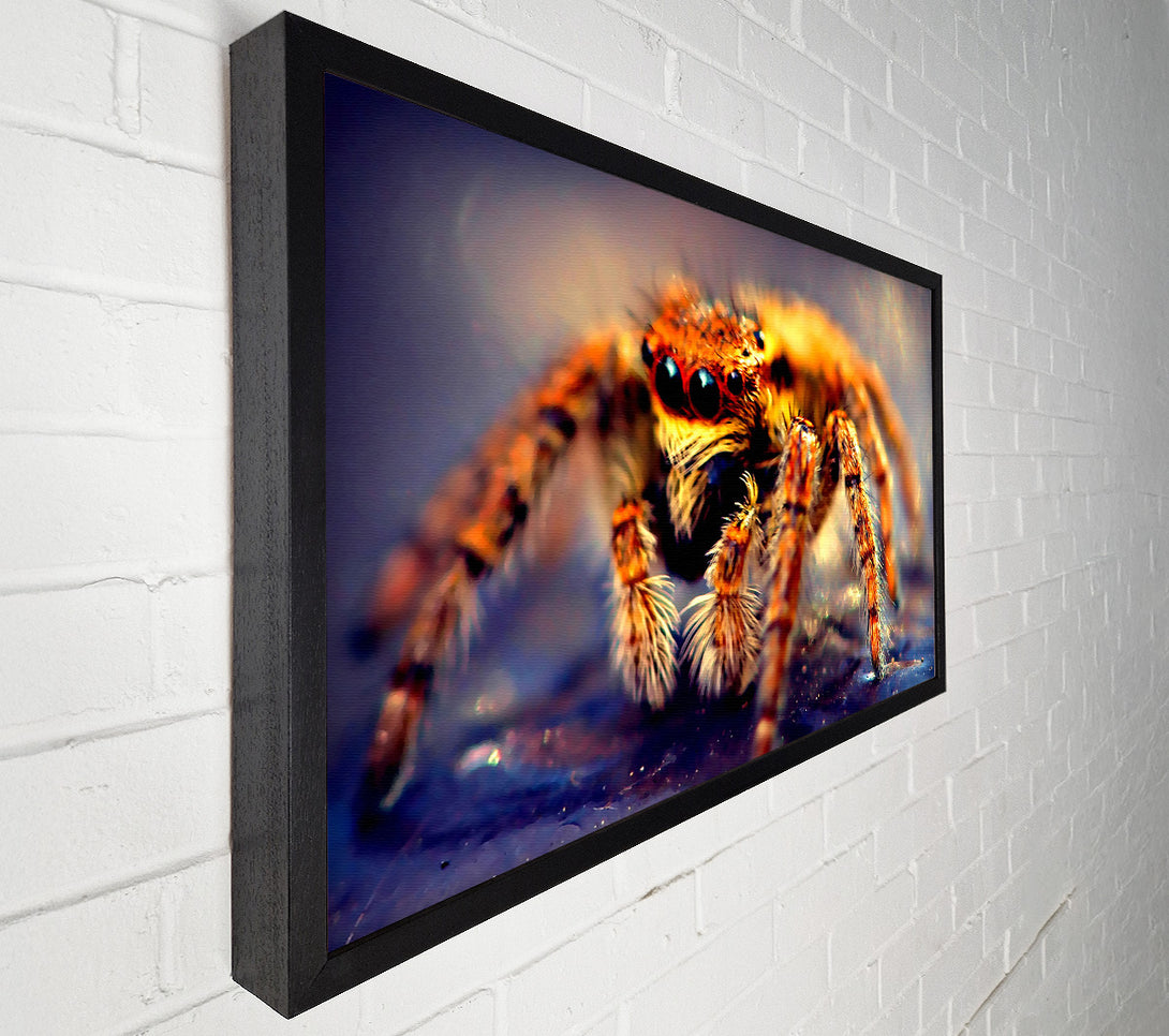  A Canvas Print of Spider Close-Up Canvas Wall Art