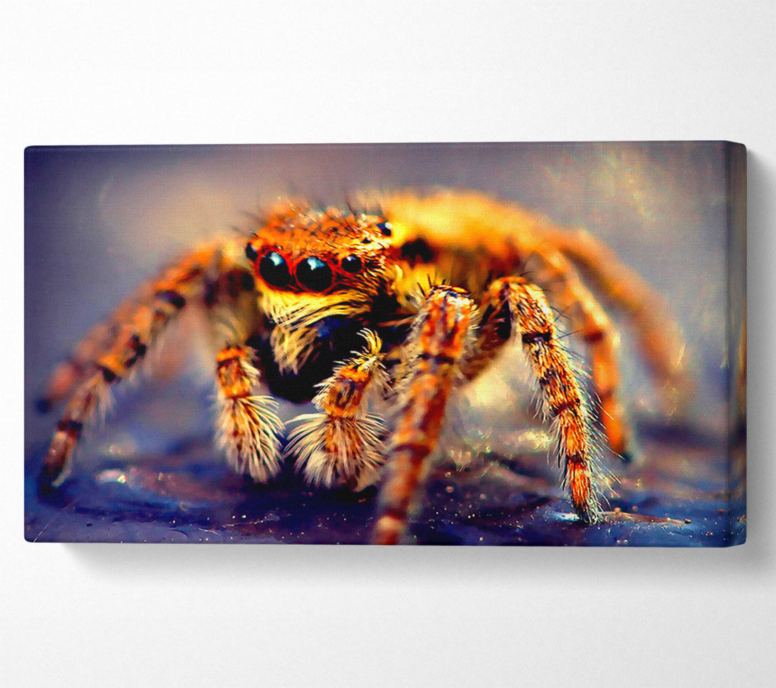  A Canvas Print of Spider Close-Up Canvas Wall Art
