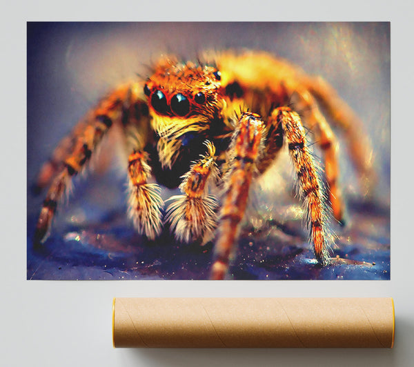Spider Close-Up Giclee Print
