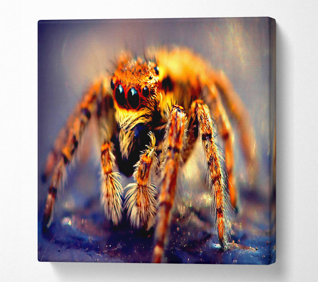  A Canvas Print of Spider Close-Up Canvas Wall Art