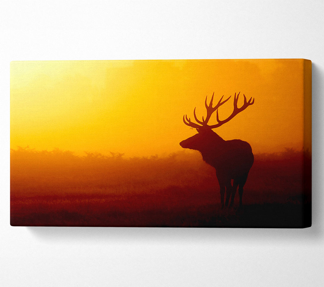  A Canvas Print of Stag At Sunset Canvas Wall Art
