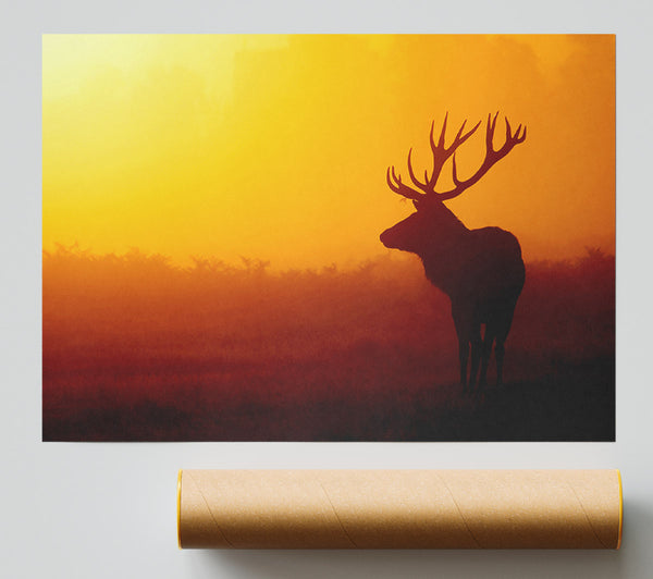 Stag At Sunset Giclee Print