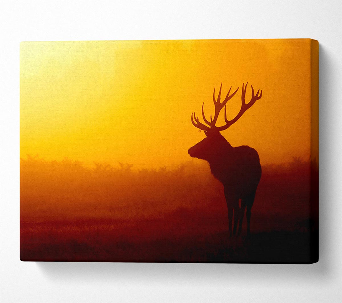  A Canvas Print of Stag At Sunset Canvas Wall Art