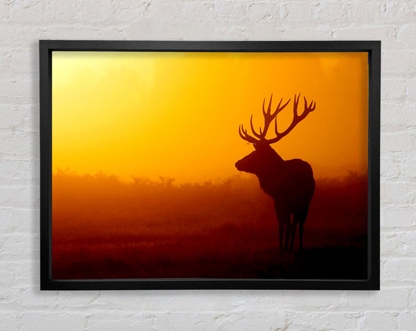 Hirsch bei Sonnenuntergang