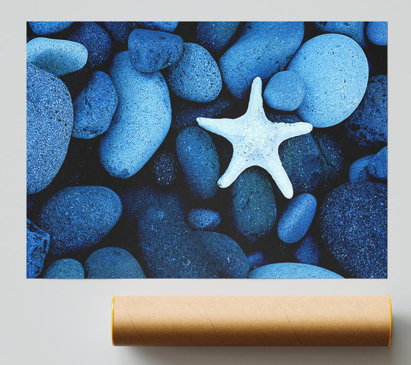Star Fish Rocks Print
