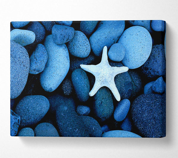  A Canvas Print of Star Fish Rocks Canvas Wall Art