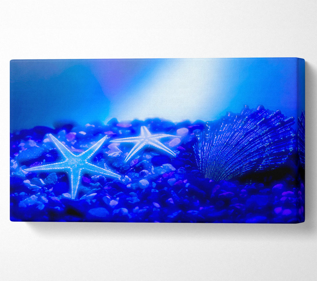  A Canvas Print of Stunning Blue Starfish Canvas Print