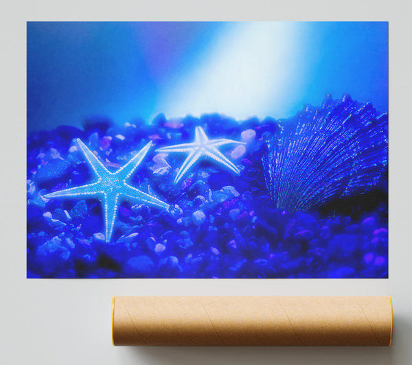 Stunning Blue Starfish Poster