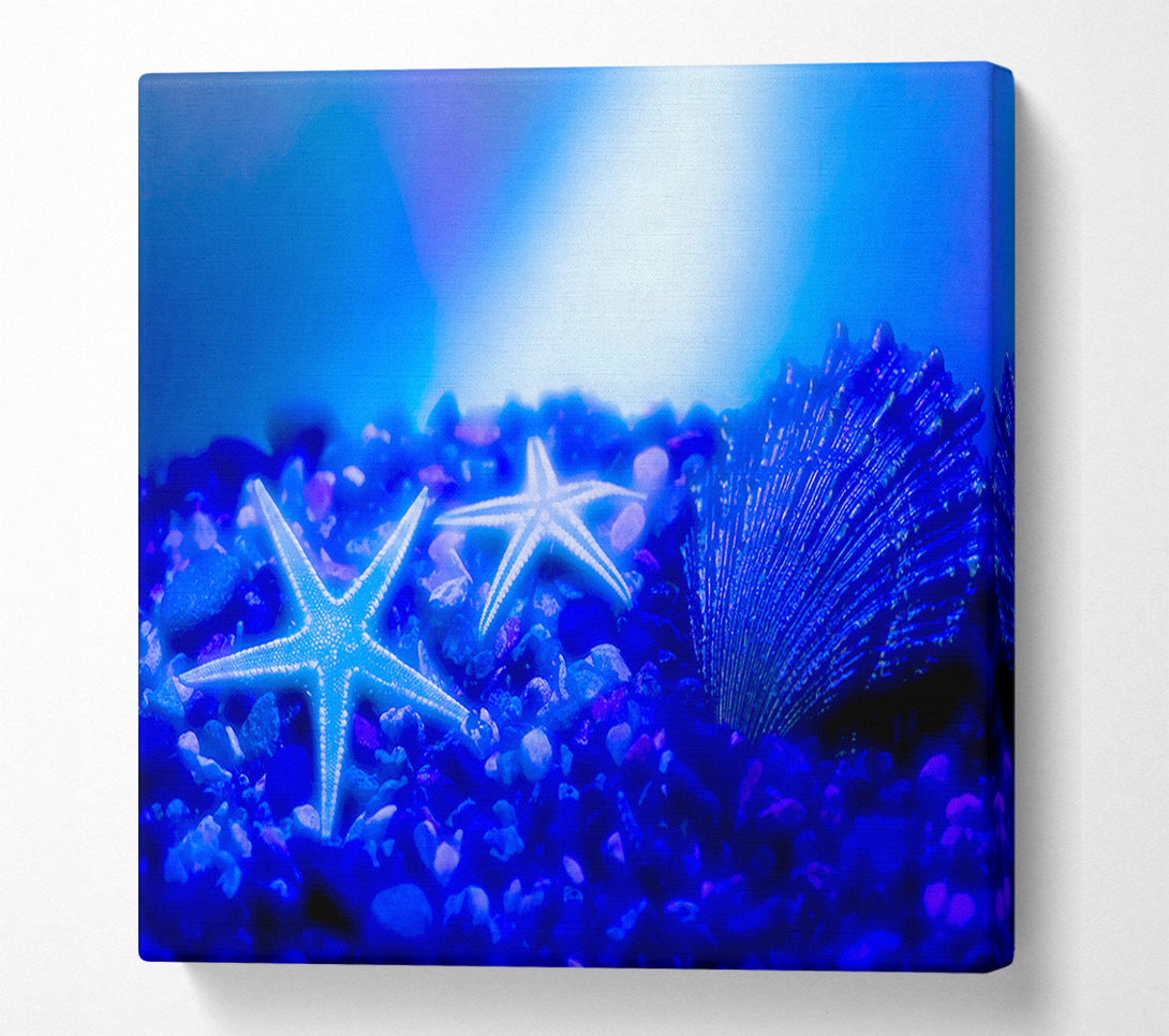  A Canvas Print of Stunning Blue Starfish Canvas Print