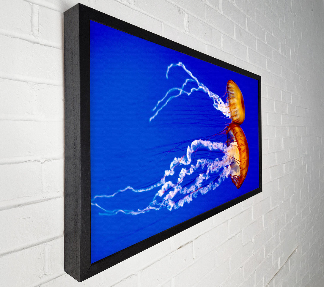  A Canvas Print of Stunning Jellyfish Canvas Wall Art