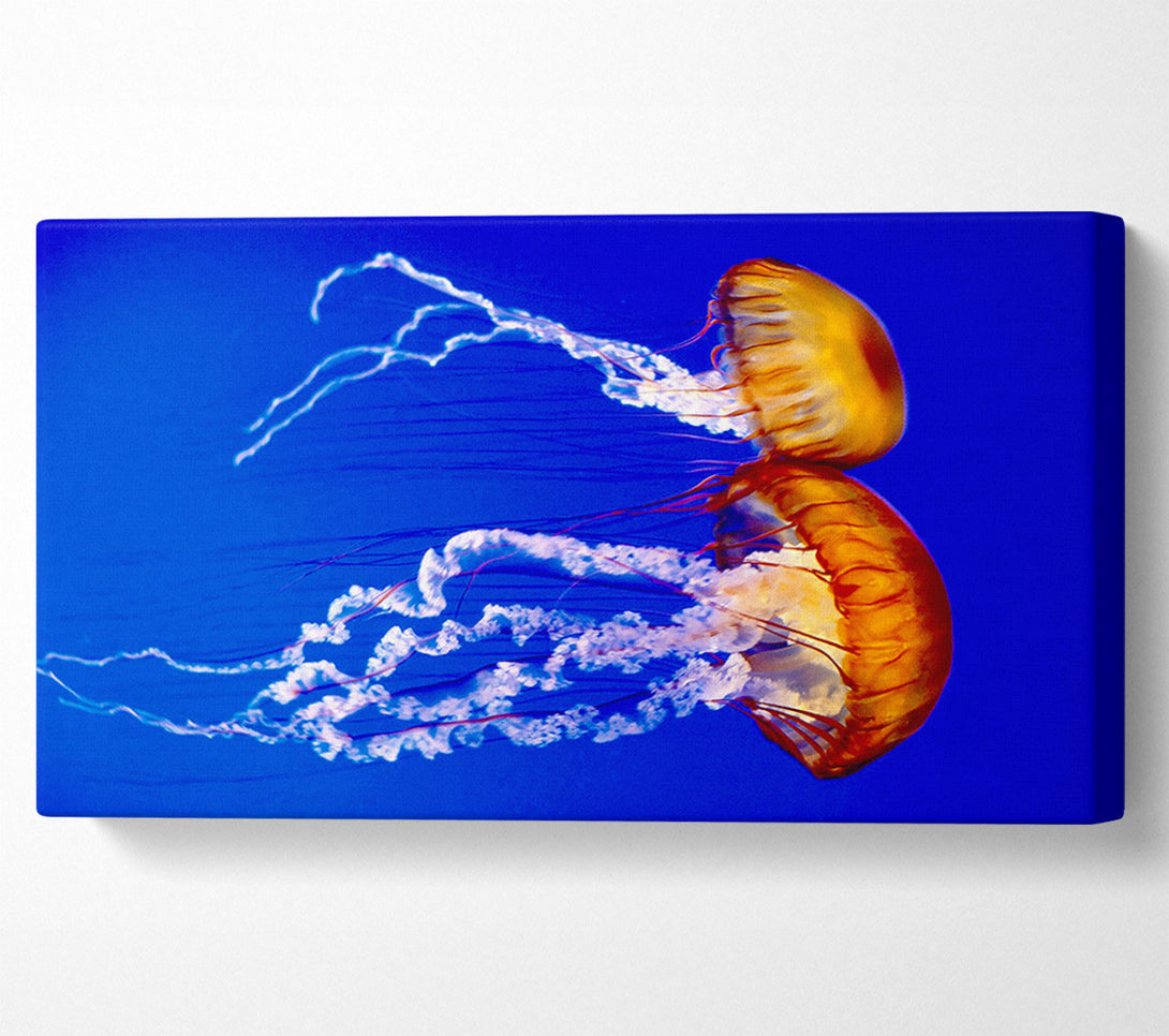  A Canvas Print of Stunning Jellyfish Canvas Wall Art