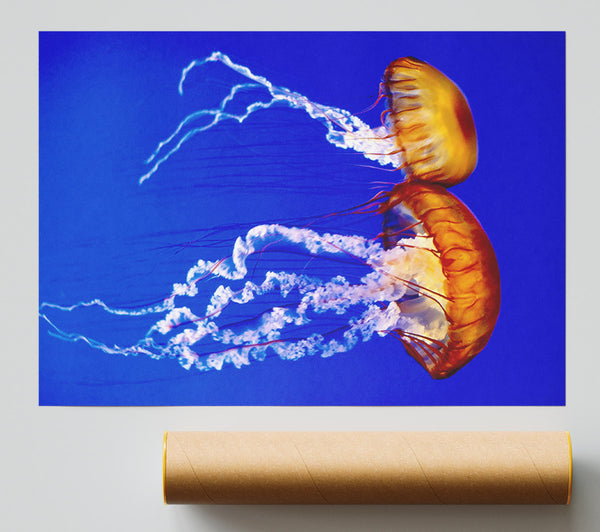 Stunning Jellyfish Giclee Print