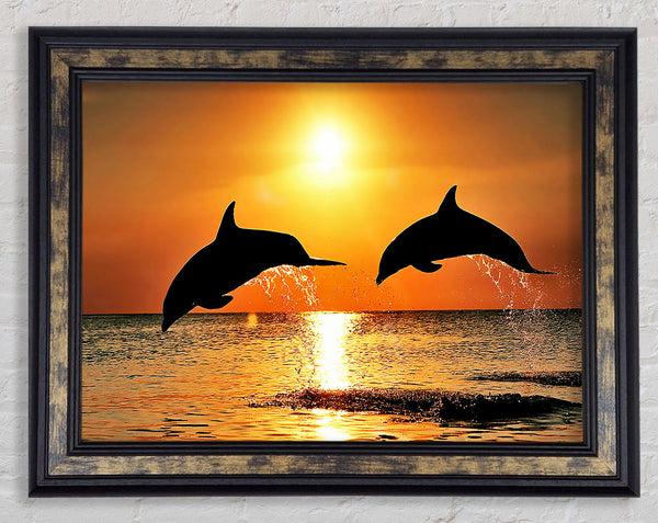 Sunset Dolphins Framed Print