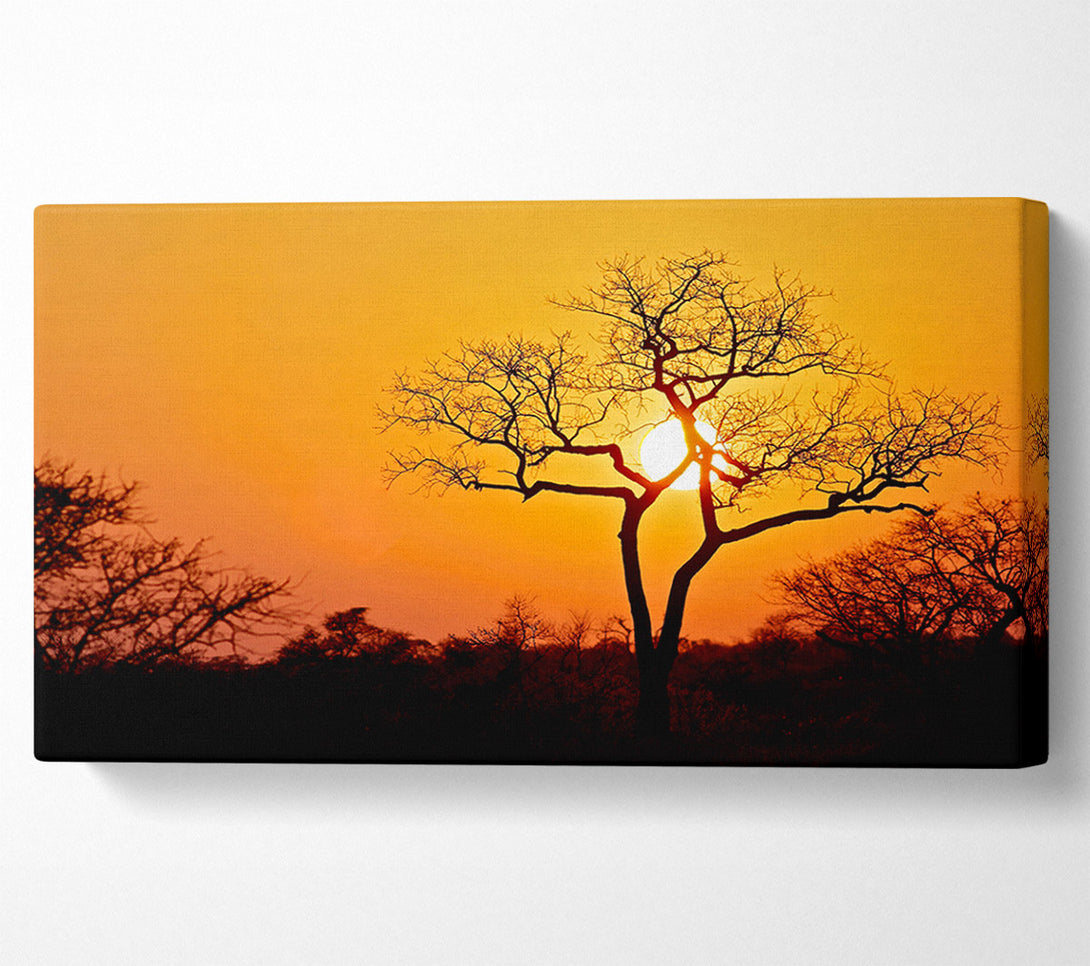  A Canvas Print of Sunset In Africa Canvas Print