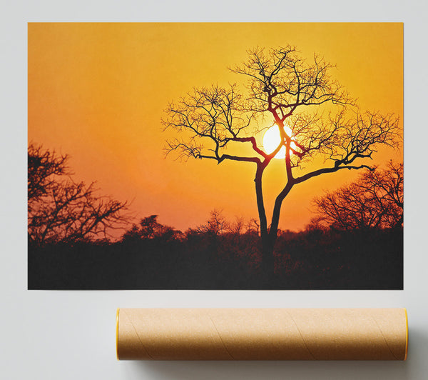 Sunset In Africa Print