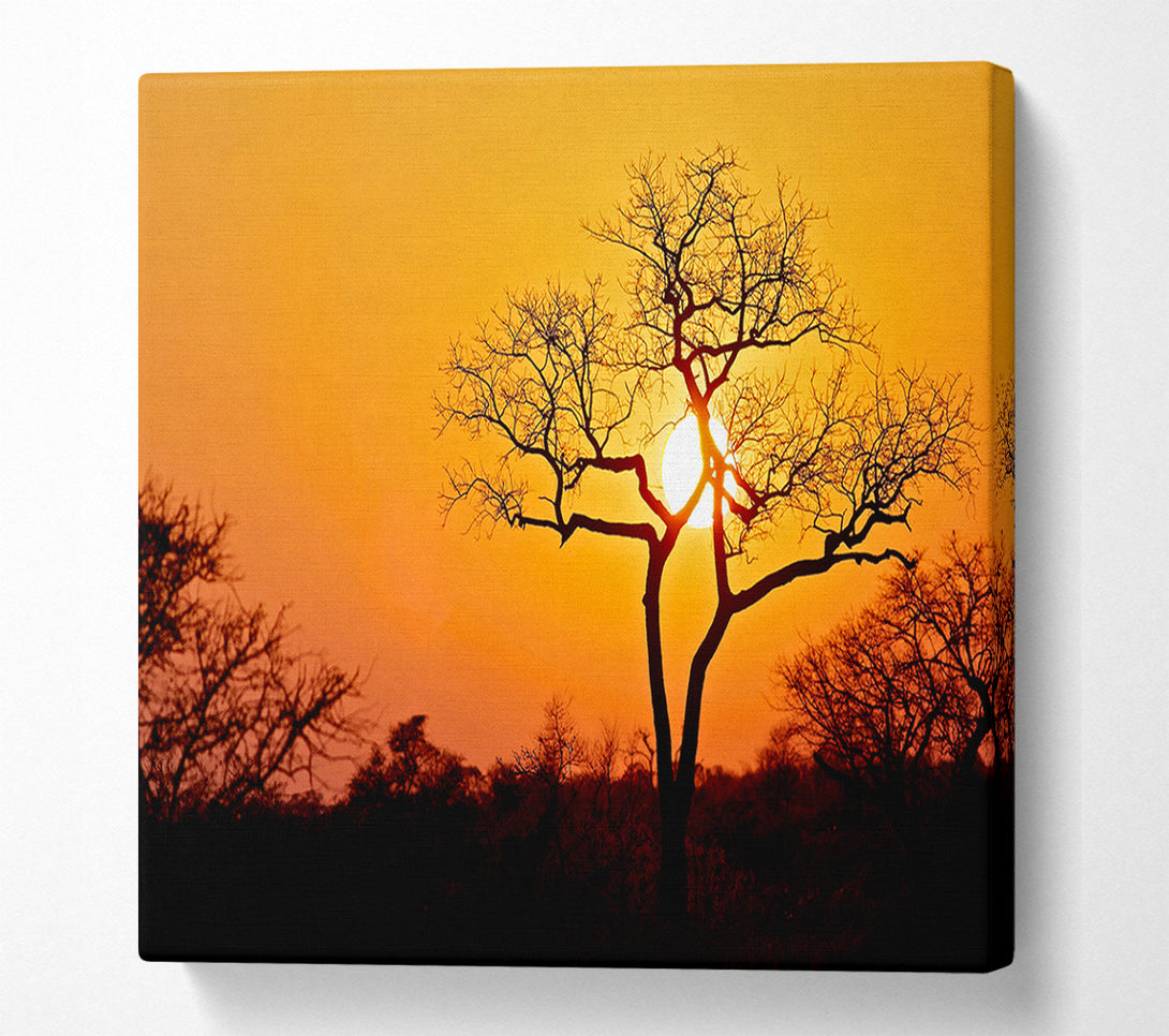  A Canvas Print of Sunset In Africa Canvas Print
