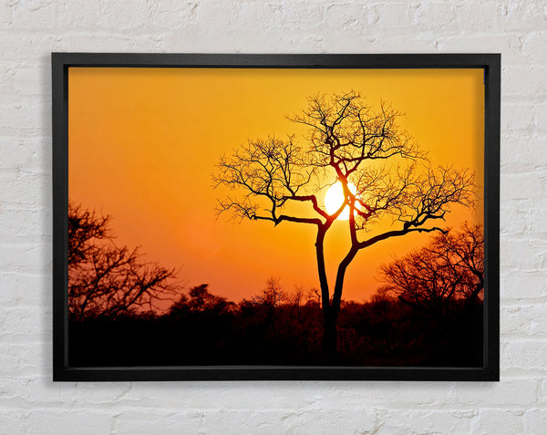 Sonnenuntergang in Afrika