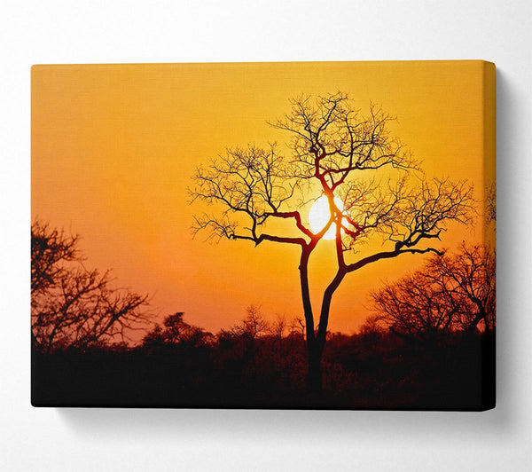  A Canvas Print of Sunset In Africa Canvas Print