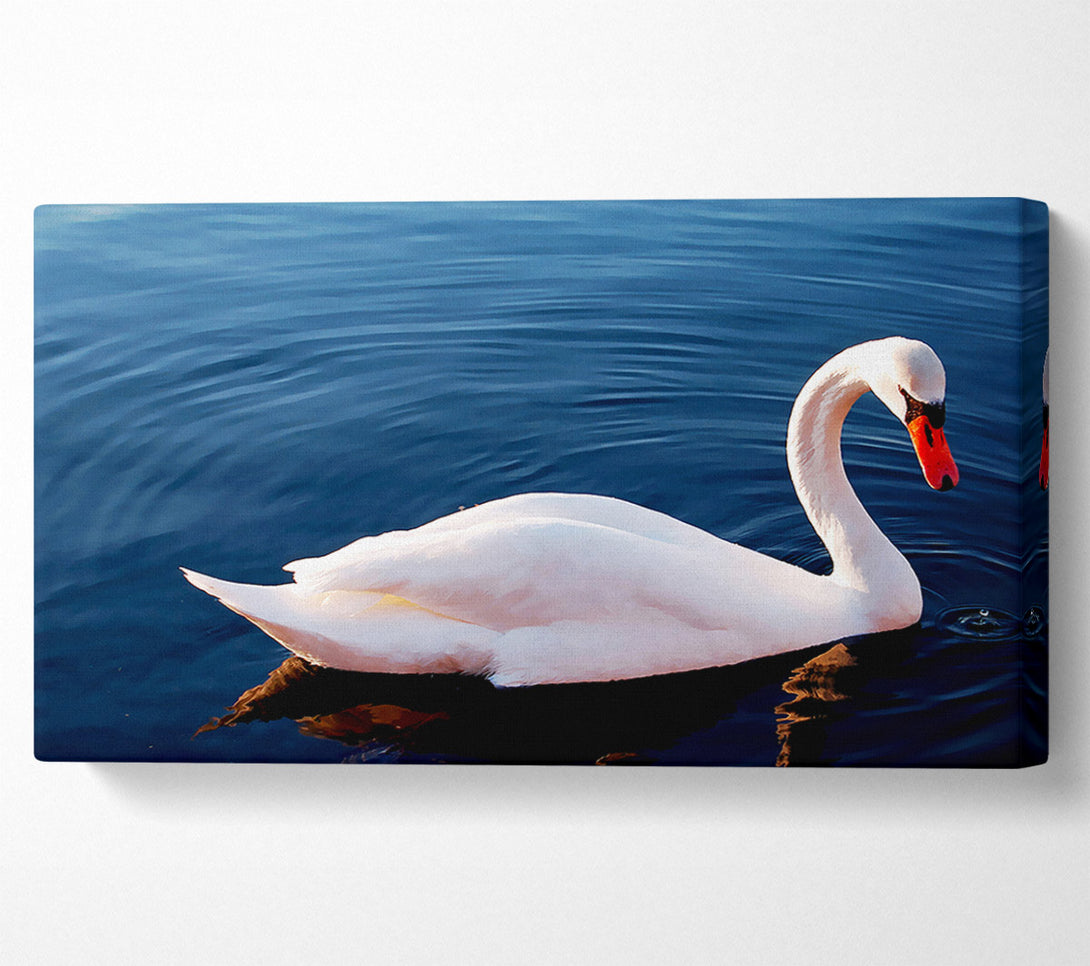  A Canvas Print of Swan In The River Canvas Wall Art