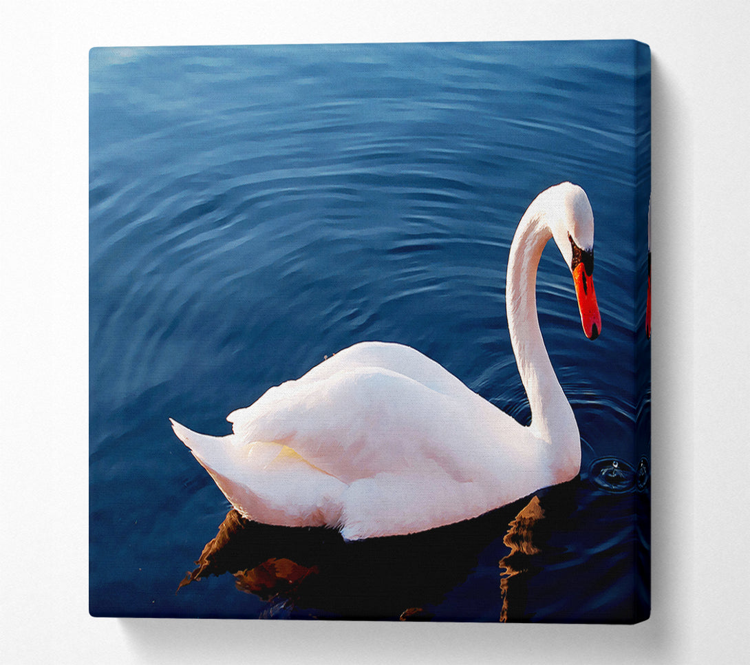  A Canvas Print of Swan In The River Canvas Wall Art