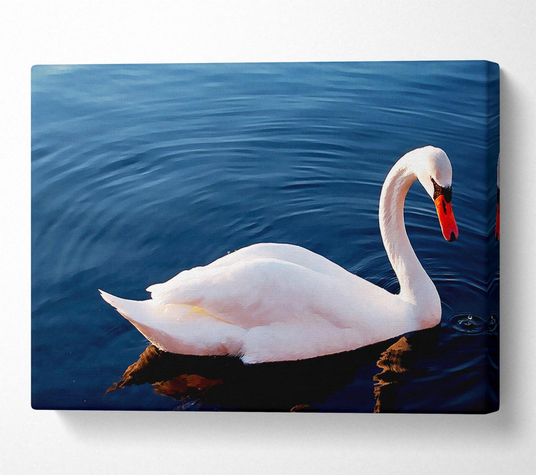  A Canvas Print of Swan In The River Canvas Wall Art