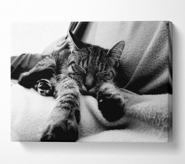  A Canvas Print of Sweet Dreams B n W Canvas Print