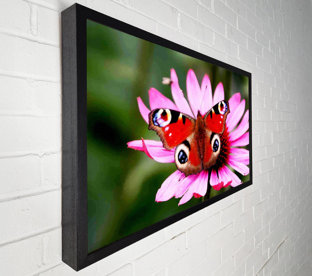  A Canvas Print of Symmetrical Butterfly Canvas Art