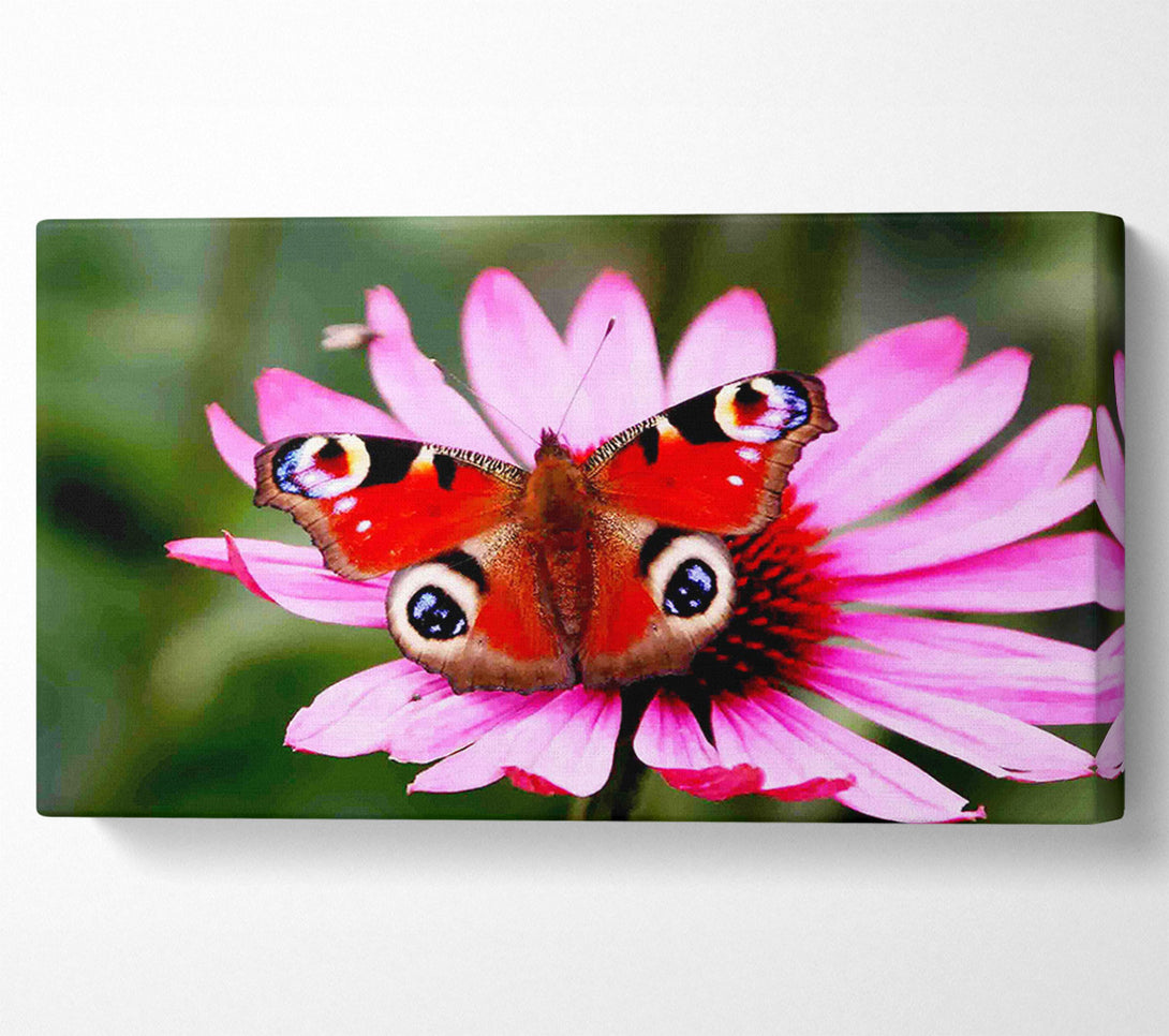  A Canvas Print of Symmetrical Butterfly Canvas Art