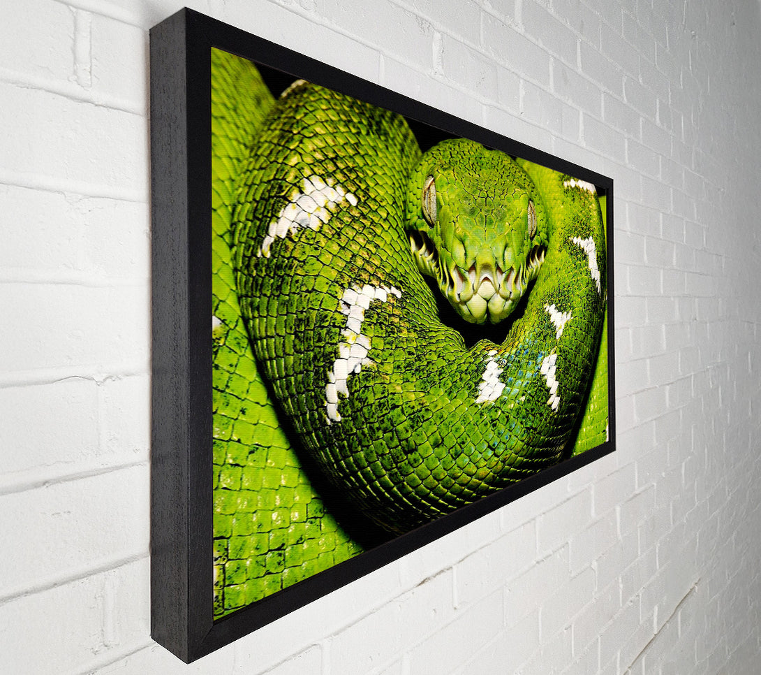  A Canvas Print of The Serpent Canvas Wall Art