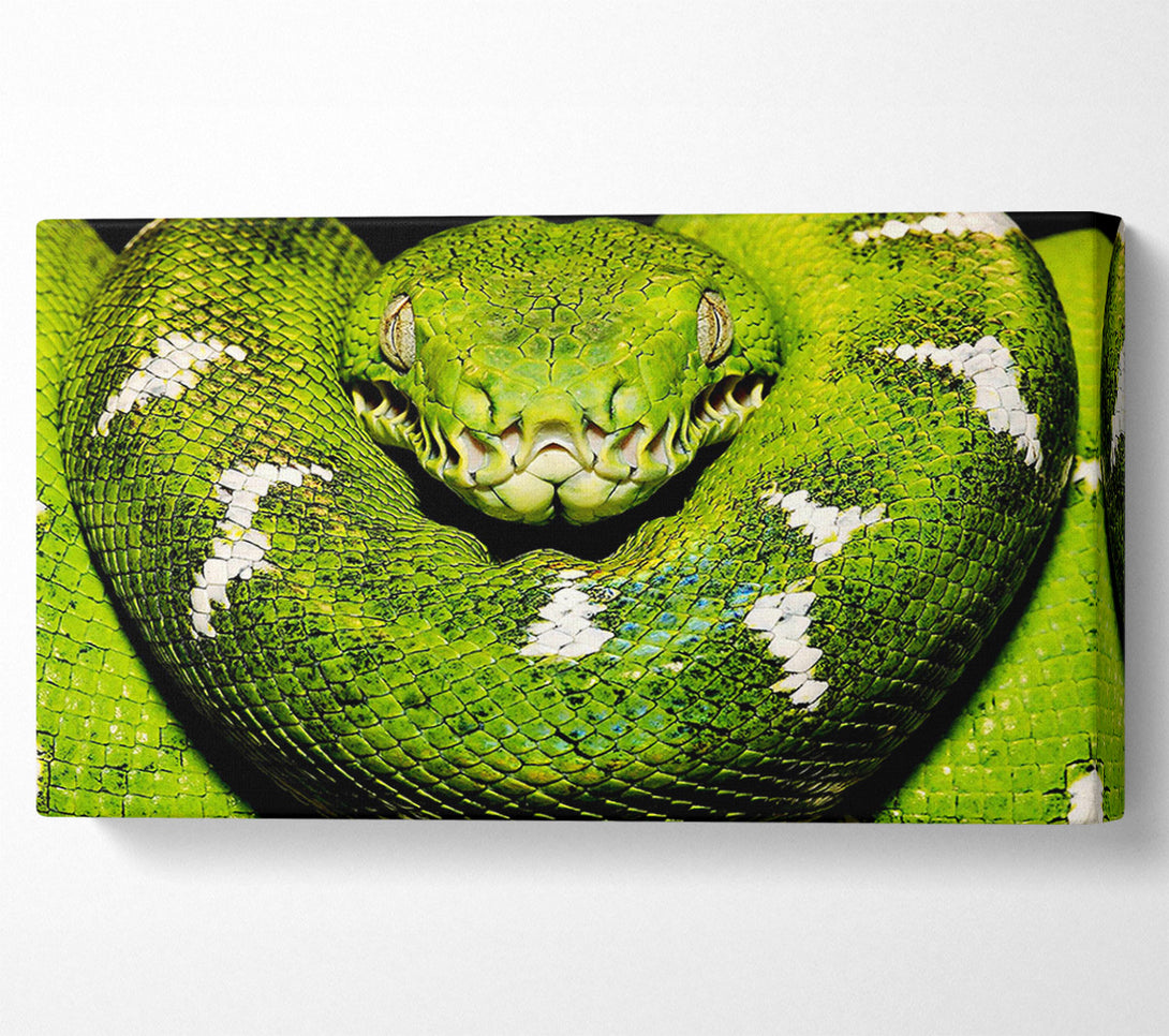  A Canvas Print of The Serpent Canvas Wall Art