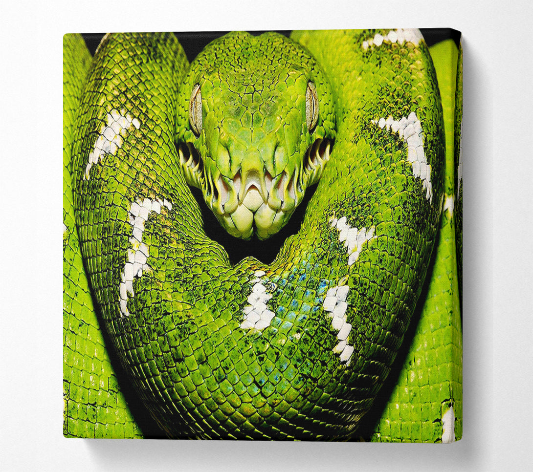  A Canvas Print of The Serpent Canvas Wall Art
