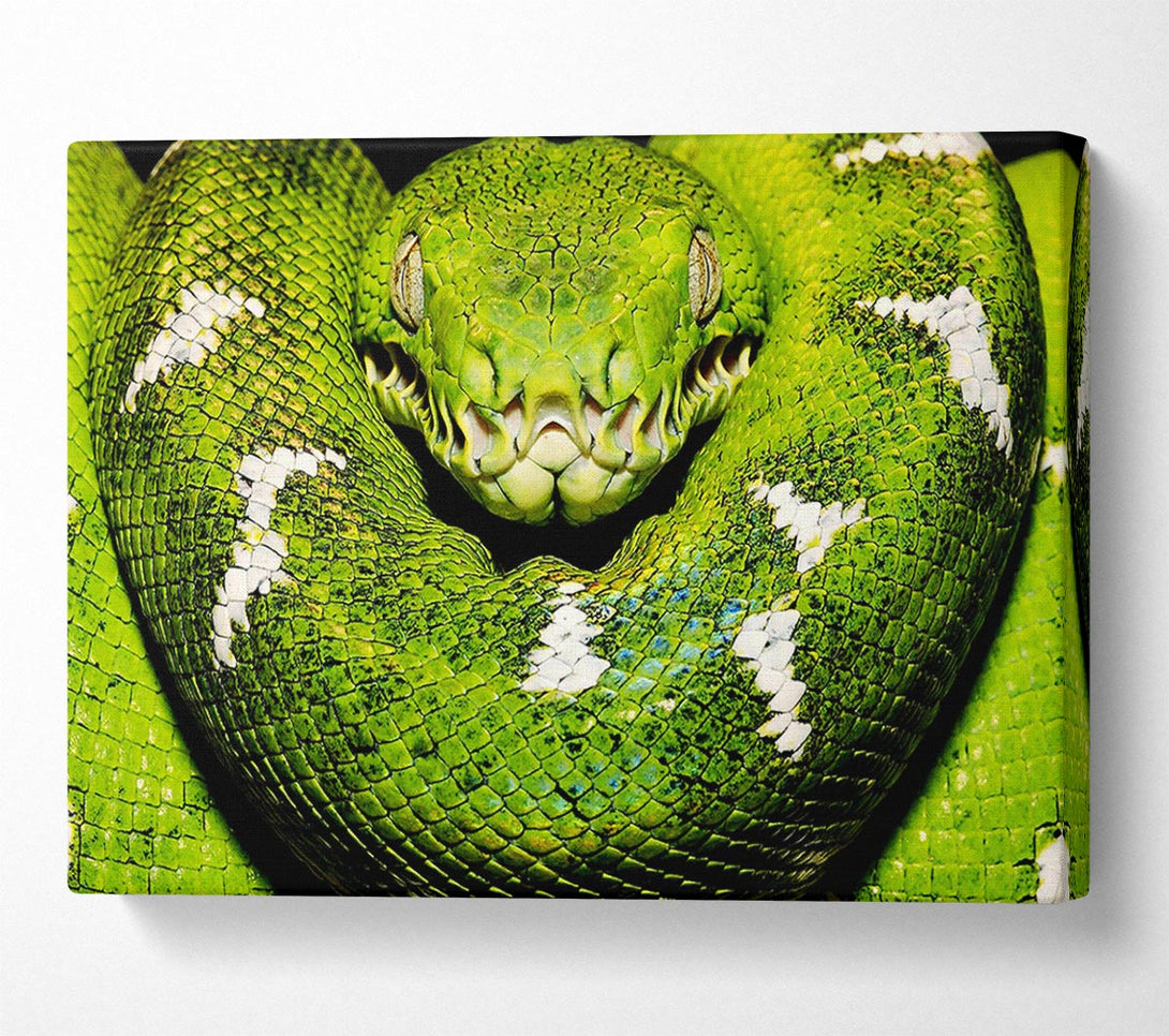  A Canvas Print of The Serpent Canvas Wall Art