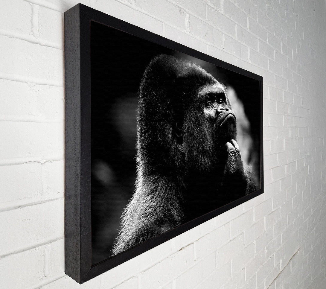  A Canvas Print of Thoughtful Gorilla B n W Canvas Art