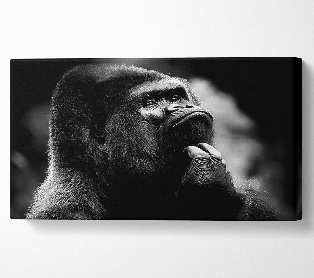  A Canvas Print of Thoughtful Gorilla B n W Canvas Art