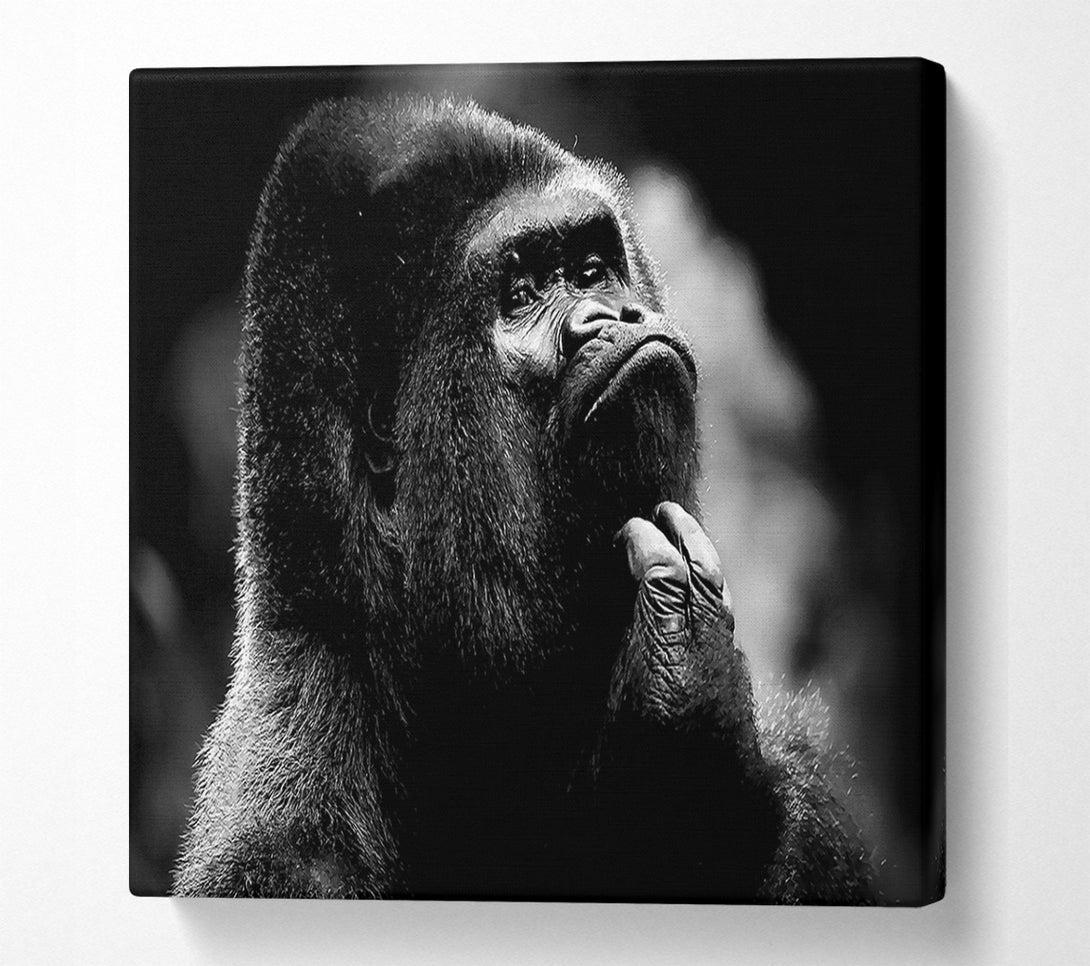  A Canvas Print of Thoughtful Gorilla B n W Canvas Art