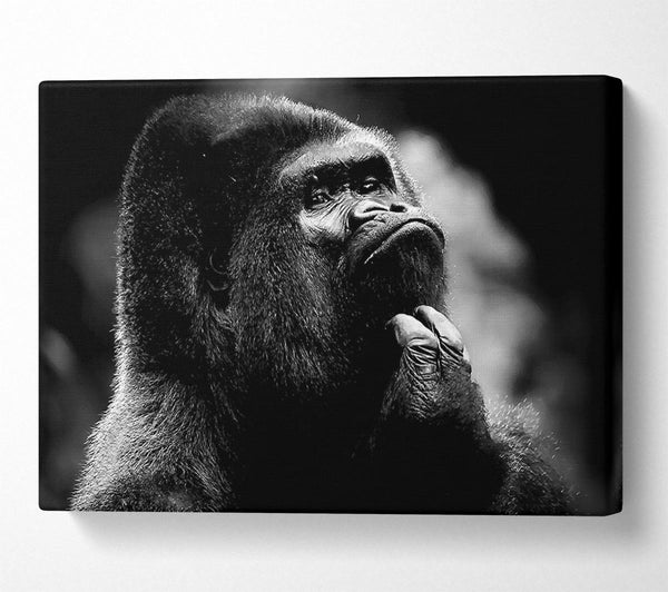 A Canvas Print of Thoughtful Gorilla B n W Canvas Art