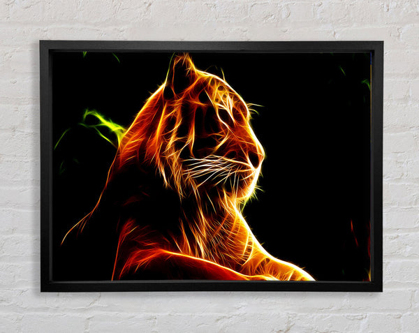 Tiger Blaze Framed Print