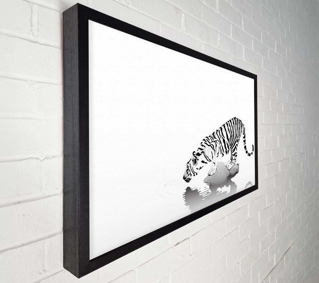  A Canvas Print of Tiger Drinking Canvas Print