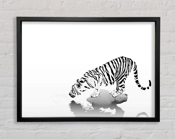 Tiger trinken