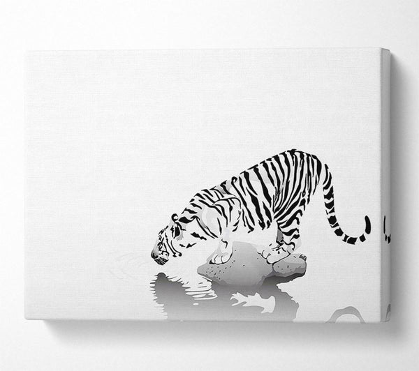  A Canvas Print of Tiger Drinking Canvas Print