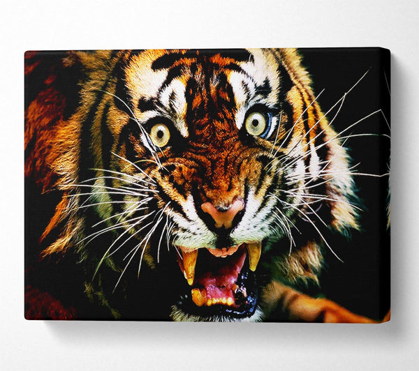  A Canvas Print of Tiger Roar Canvas Art