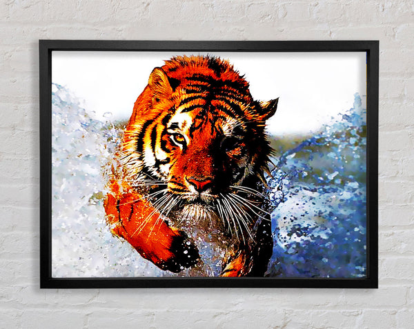 Tiger Running In Water Framed Print