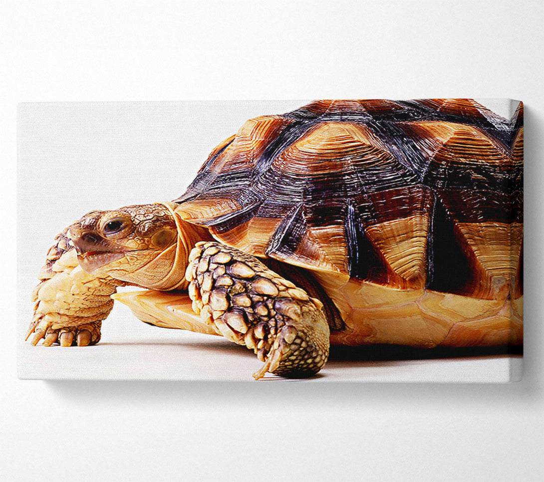  A Canvas Print of Tortuous Walk Canvas Wall Art