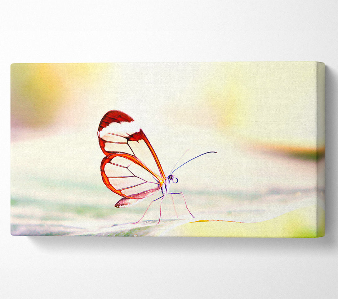  A Canvas Print of Transparent Winged Butterfly Canvas Art
