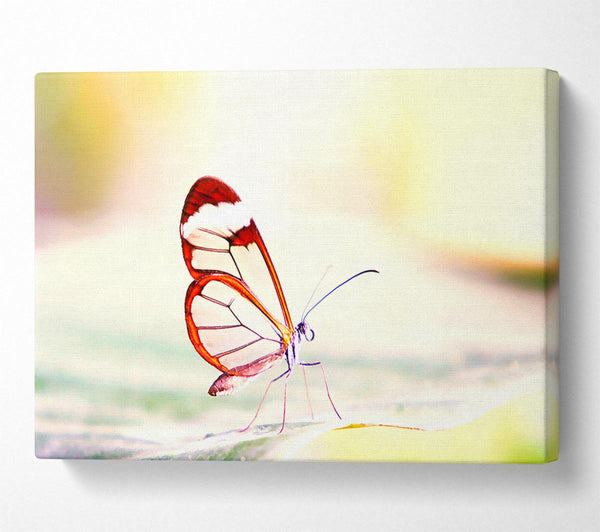  A Canvas Print of Transparent Winged Butterfly Canvas Art