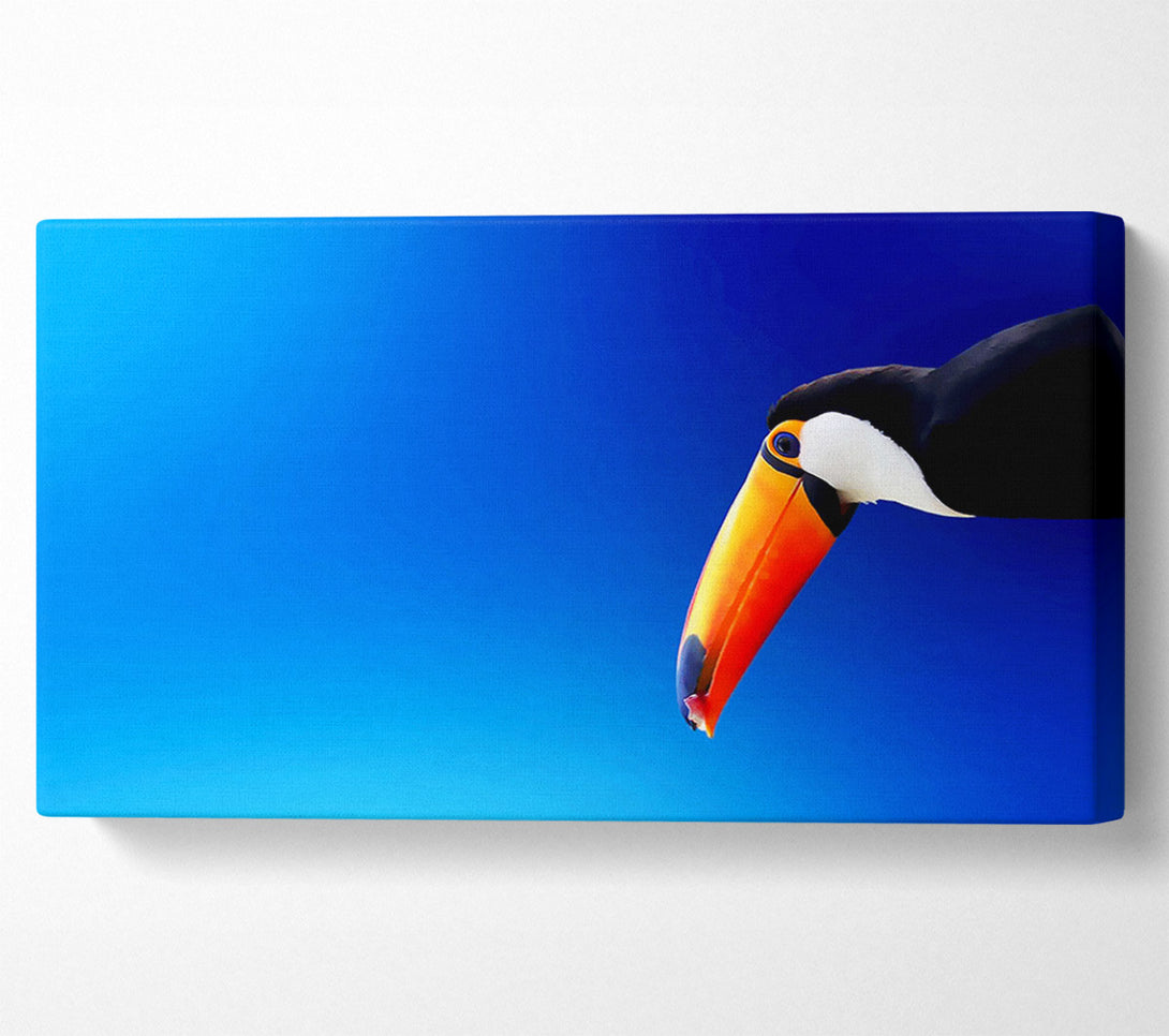  A Canvas Print of Tucan Beauty Canvas Art