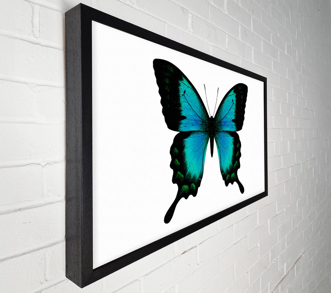  A Canvas Print of Turquoise Butterfly Wings Canvas Print